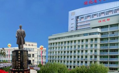 湖北中山医院
